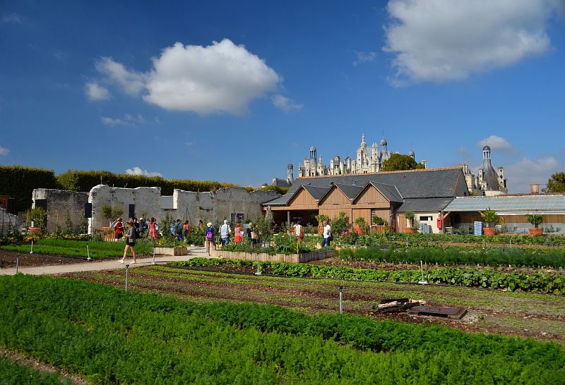 Jardins Potagers de Chambord