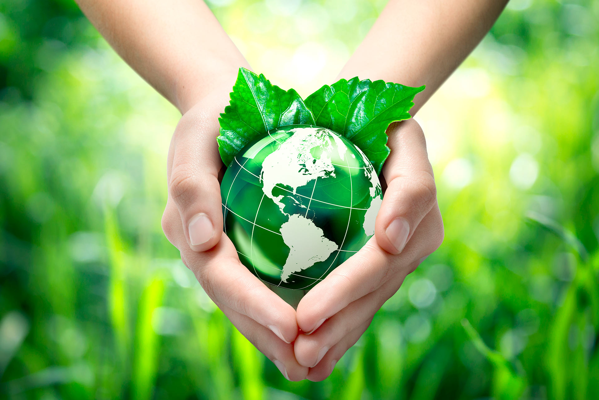 Le développement durable 